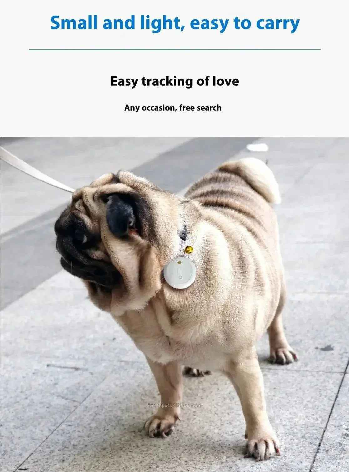 Motag Pet Tracker - Smart Tracker