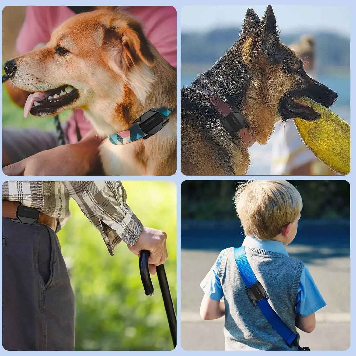 Rubberised Case - Air Tag Case for Dogs